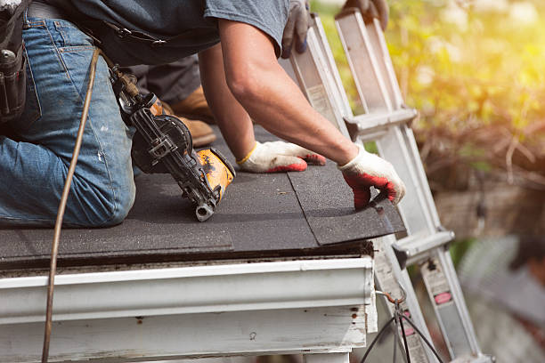 Best Storm Damage Roof Repair  in Mangonia Park, FL