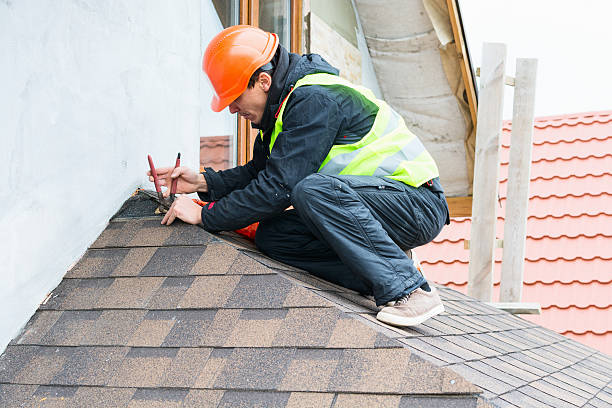 Best Roof Gutter Cleaning  in Mangonia Park, FL