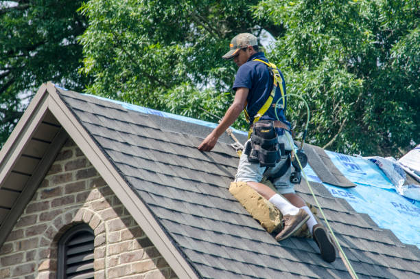 Quick and Trustworthy Emergency Roof Repair Services in Mangonia Park, FL